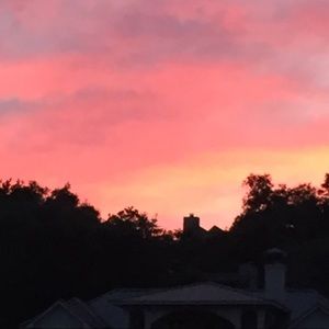 Meet your Posher, Kari